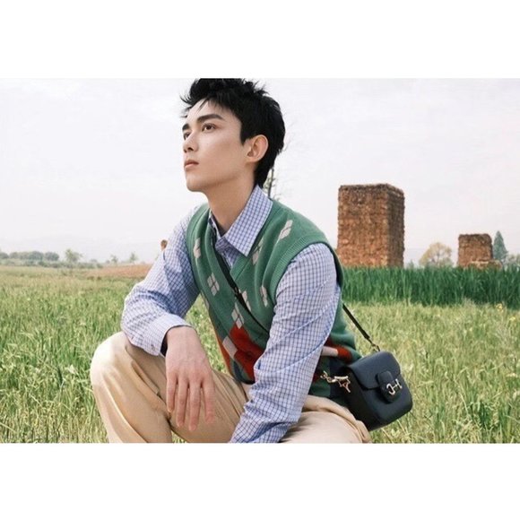 Gucci Agyle Knit Sweater Vest - Picture 6 of 16